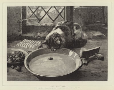 درب التبانة بواسطة وليام سترات